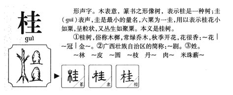 桂的造詞|桂造詞，桂字的造詞